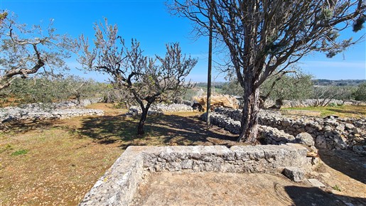 Antico Trullo In Posizione Collinare e Panoramica, Con Antico e Grande Forno.